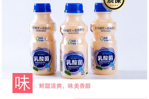 原味乳酸菌饮品340ml 12瓶酸奶饮料益生菌早餐牛奶整箱批发